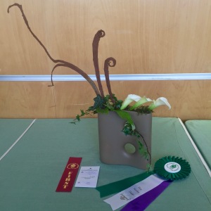 2019 May Flower Show. CLASS-2-1st-S-W