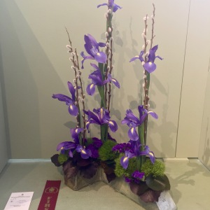 2019 May Flower Show. CLASS-4-1st-B-S