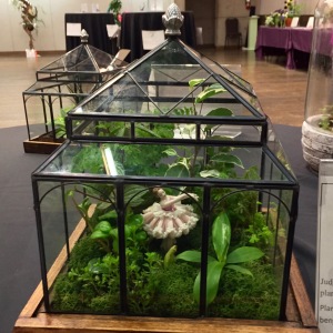 2019-05-Triennial Flower Show-CLASS-136-'Music Box'-2nd-Val-Smith.2