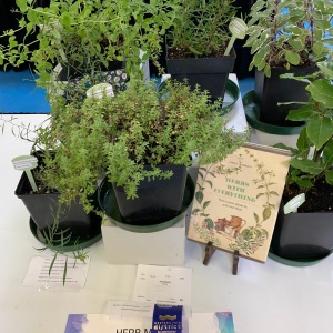 2019-ENV-Herbs