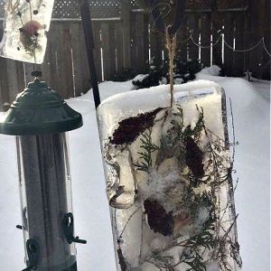 Ice Art -  poplar leaves and cedar branches