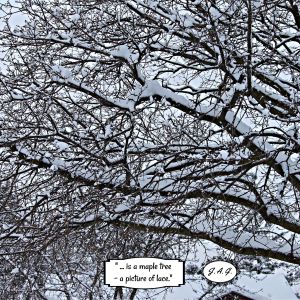 2021-01-WINTER-GARDEN.15-GCL-SNOW-SCAPE-Jeanne-Anne-Goldrick-2