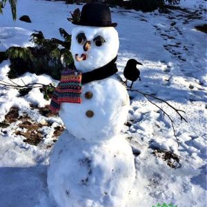 Winter-Fun-snowman-DB